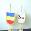 fanion fed handbal